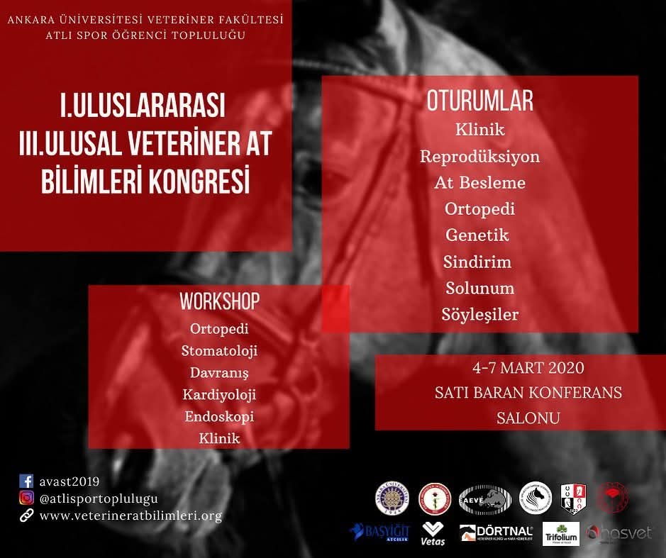 I. Uluslararasi Kongre