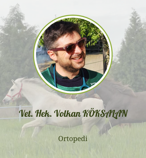 İnternet sitesi hocalar (11)