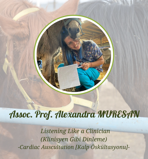 İnternet sitesi hocalar (13)