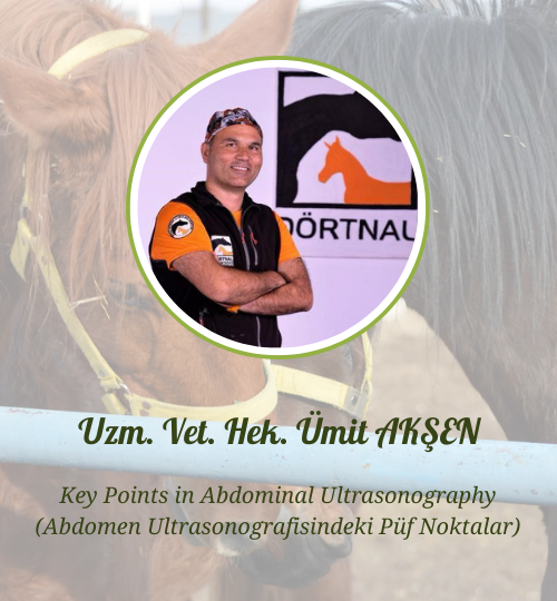 İnternet sitesi hocalar (2)