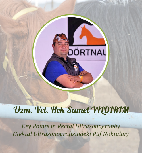 İnternet sitesi hocalar (3)