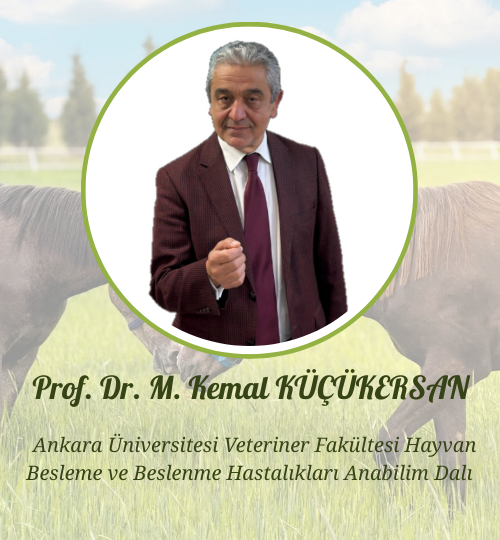 İnternet sitesi hocalar (7)