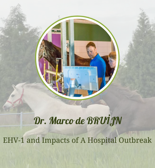 İnternet sitesi hocalar (8)