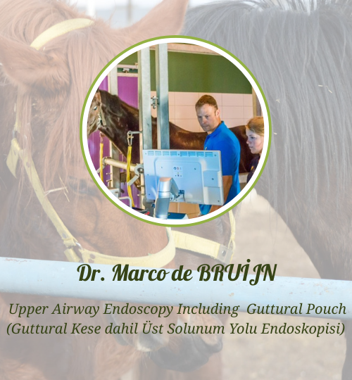 İnternet sitesi hocalar (9)