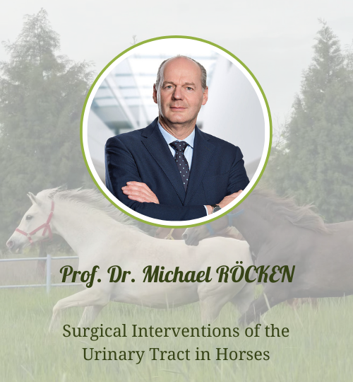 paragraf metniniz (23)