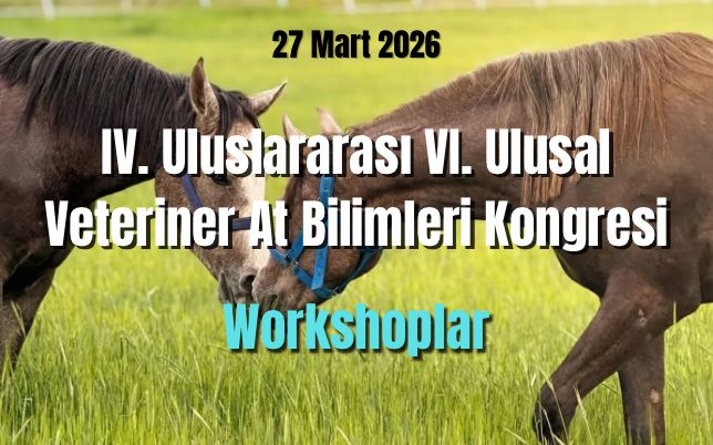 site kongre hakkında 2 site kongre hakkında 2