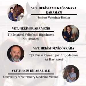 whatsapp image 2026 02 04 at 22.2.38