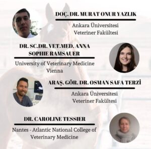 whatsapp image 2026 02 04 at 22.25.