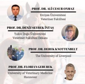 whatsapp image 2026 02 04 at 22.25.3