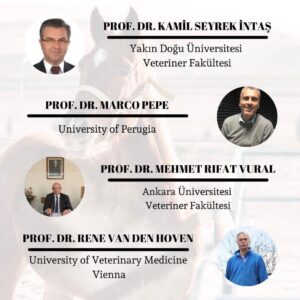 whatsapp image 2026 02 04 at 22.25.37