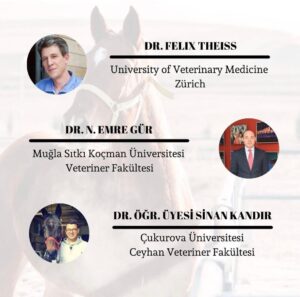 whatsapp image 2026 02 04 at 22.25.38