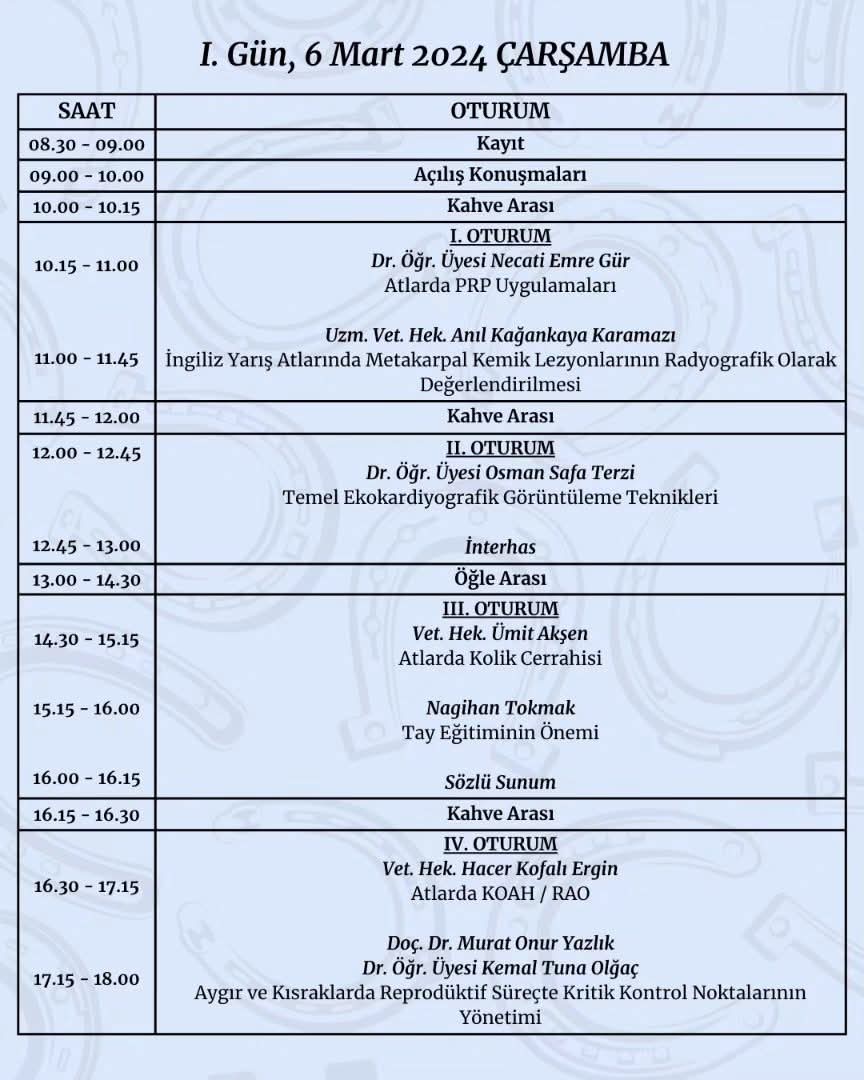 whatsapp image 2026 02 04 at 22.53.37