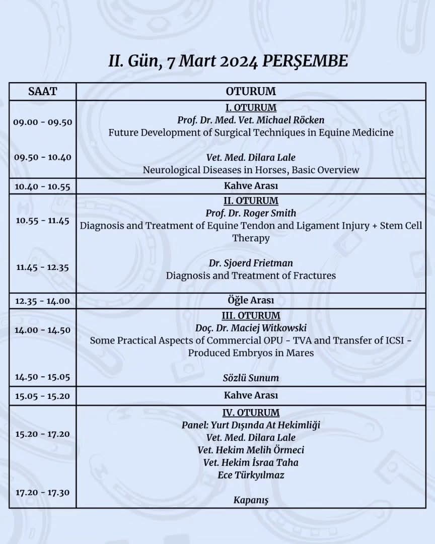 whatsapp image 2026 02 04 at 22.53.38