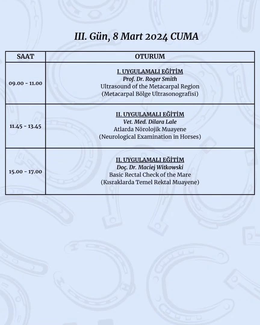 whatsapp image 2026 02 04 at 22.53.39