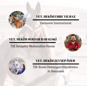 whatsapp image 2026 02 04 at 25.38