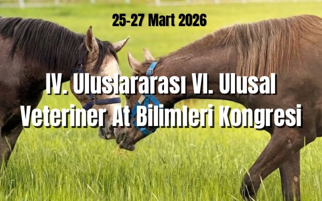 site kongre hakkında site kongre hakkında