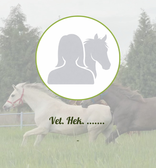 İnternet sitesi hocalar (14)