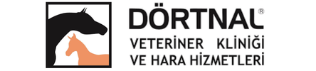paragraf metniniz